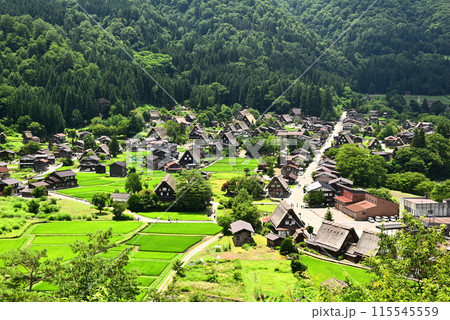 夏の白川郷を望む 夏の白川郷を望む 115545559