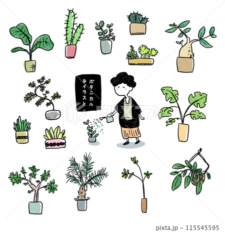 ボタニカルなイラスト カラー ボタニカルなイラスト カラー 115545595