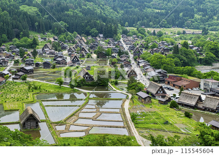 岐阜県 白川郷合掌造り集落 城跡展望台からの風景 世界遺産 岐阜県 白川郷合掌造り集落 城跡展望台からの風景 世界遺産 115545604