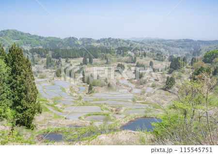 新潟 星峠の棚田 新潟 星峠の棚田 115545751