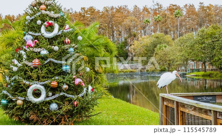 Decorated Christmas tree near lake with white bird in park during day Decorated Christmas tree near lake with white bird in park during day 115545789
