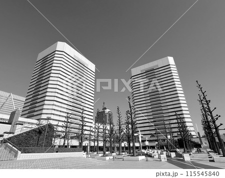 青空に浮かぶ幕張テクノガーデン（モノクロ） 115545840