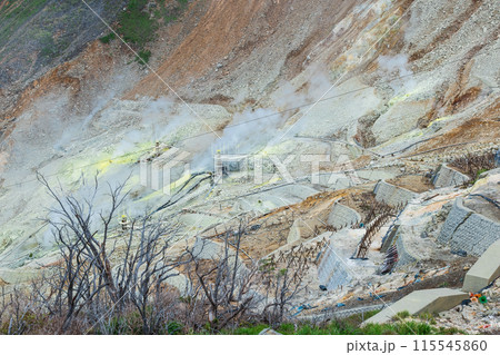 箱根　大涌谷 115545860