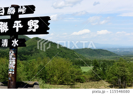 十勝平野 日勝峠 十勝平野 日勝峠 115546080