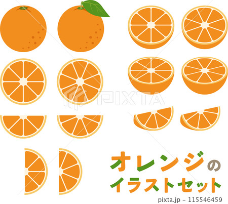 オレンジのイラストセット 115546459