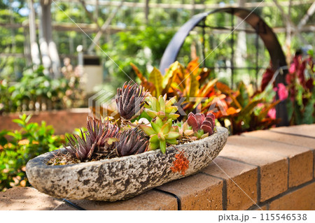 グリーンセンターの春 115546538