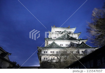 空堀で餌を食んでいる鹿にも出会える名古屋城 空堀で餌を食んでいる鹿にも出会える名古屋城 115547037