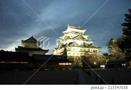 空堀で餌を食んでいる鹿にも出会える名古屋城 空堀で餌を食んでいる鹿にも出会える名古屋城 115547038
