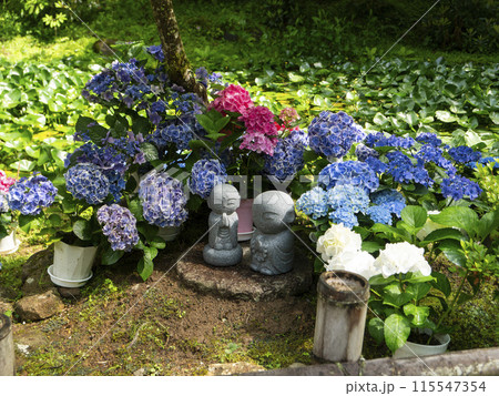 水辺に飾られた紫陽花の花と地蔵 115547354