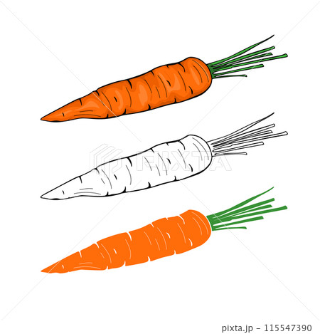 Colorful cartoon carrot icon, vector illustration isolated on white background 115547390