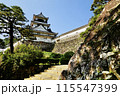 澄み渡る青空の下の高知城 115547399