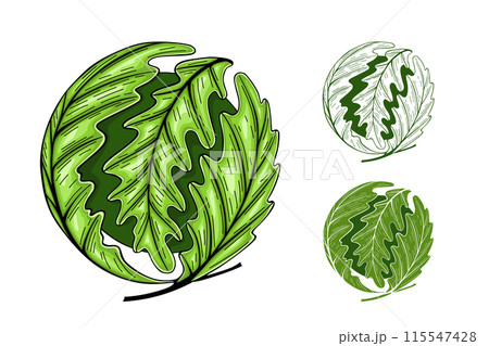 Oak Leaves Circle Concept, Sign, logo. Vector Illustration Oak Leaves Circle Concept, Sign, logo. Vector Illustration 115547428