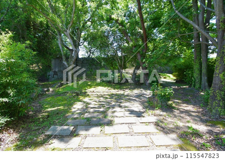 新宮城　松ノ丸 115547823