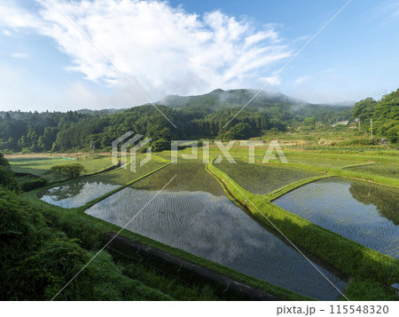 棚田が広がる奈良県宇陀市室生の風景 115548320
