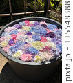 水に浮く紫陽花 115548388