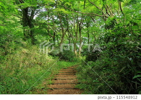 東京都・多摩市・桜ケ丘公園 115548912
