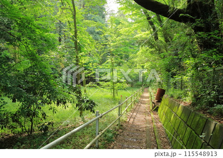 東京都・多摩市・桜ケ丘公園 115548913