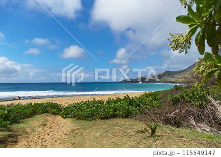 A scenic pathway to a sandy beach overlooking a beautiful blue sea A scenic pathway to a sandy beach overlooking a beautiful blue sea 115549147