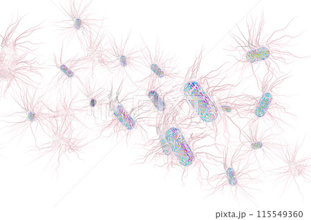 サルモネラ菌などの悪玉菌イラスト（コンピューターグラフィック：透過素材） 115549360