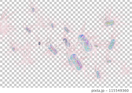 沙門氏菌等有害細菌的插圖(電腦圖形:透明材料) 沙門氏菌等有害細菌的插圖(電腦圖形:透明材料) 115549360