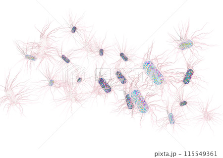 サルモネラ菌などの悪玉菌イラスト(コンピューターグラフィック:透過素材) サルモネラ菌などの悪玉菌イラスト(コンピューターグラフィック:透過素材) 115549361
