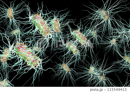 サルモネラ菌などの悪玉菌イラスト（コンピューターグラフィック：黒バック素材） 115549413