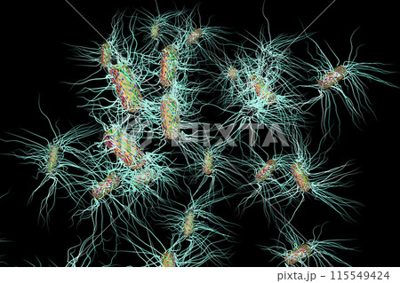サルモネラ菌などの悪玉菌イラスト（コンピューターグラフィック：黒バック素材） 115549424