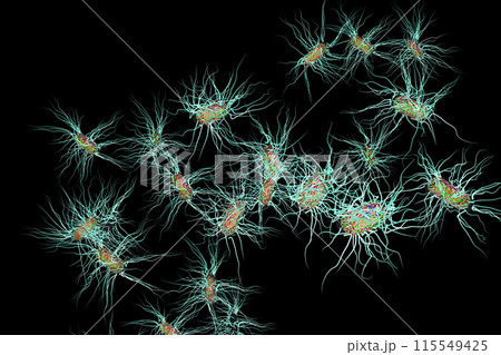 サルモネラ菌などの悪玉菌イラスト(コンピューターグラフィック:黒バック素材) サルモネラ菌などの悪玉菌イラスト(コンピューターグラフィック:黒バック素材) 115549425