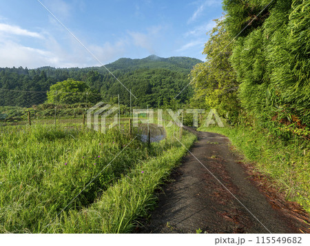 棚田が広がる里山の風景 115549682