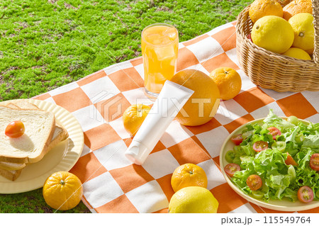 High angle view photo on an unlabeled cosmetic tube lay on a picnic carpet, decorated with citrus fruits around and some fresh foods for picnic meal. Copy space for adding text 115549764
