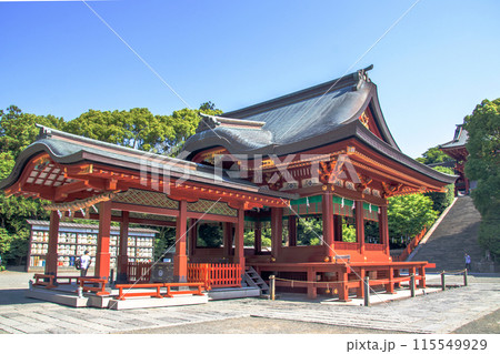 初夏の鎌倉 鶴岡八幡宮 初夏の鎌倉 鶴岡八幡宮 115549929