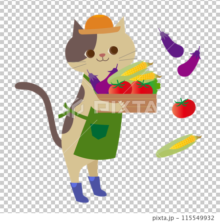 收穫蔬菜 115549932