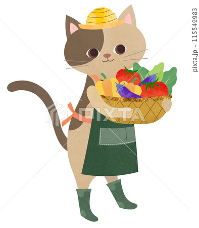 野菜の収穫 115549983