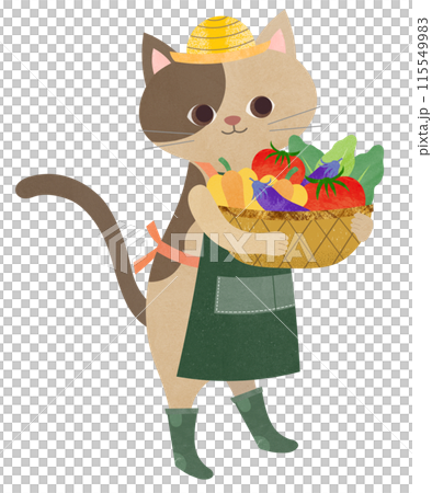 收穫蔬菜 115549983