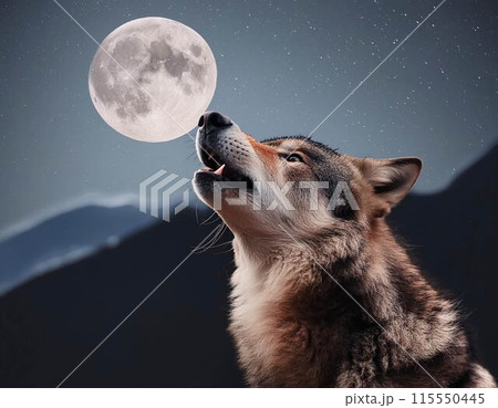 狼 オオカミ 遠吠え 夜 月 動物のイラスト素材 [115550445] - PIXTA