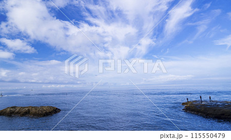 湘南の神奈川県藤沢市・鎌倉市ぽいけどの江ノ島の初夏 湘南の神奈川県藤沢市・鎌倉市ぽいけどの江ノ島の初夏 115550479