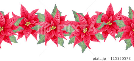 Christmas border of poinsettia flowers. Watercolor illustration. Hand drawn isolated art. Frame of realistic red plant with star flower and leaves for New Year and winter holidays decoration. 115550578