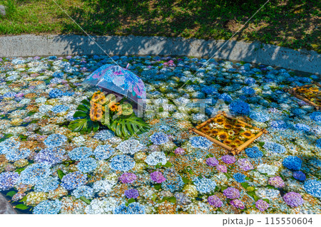 あじさいの池 あじさいまつり 開成町あじさいの里 神奈川県 開成町 あじさいの池 あじさいまつり 開成町あじさいの里 神奈川県 開成町 115550604