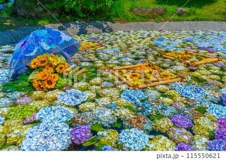 あじさいの池 あじさいまつり 開成町あじさいの里 神奈川県 開成町 あじさいの池 あじさいまつり 開成町あじさいの里 神奈川県 開成町 115550621