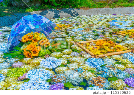 あじさいの池　あじさいまつり　開成町あじさいの里　神奈川県　開成町 115550626