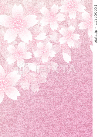 桜　和柄　水彩　背景 115550651