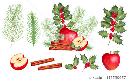 Christmas collection of red apple with pine and fir branches, holly branches with cinnamon. Illustration with watercolor and marker. Fruit festive New Year's decor. Hand drawn isolated clipart 115550677