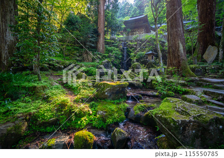 大雄山　最乗寺　神奈川県南足柄市 115550785