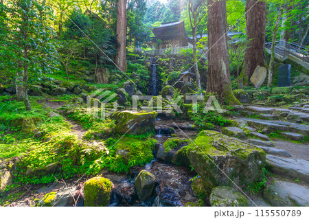 大雄山　最乗寺　神奈川県南足柄市 115550789