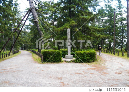 日本三景の一つに数えられる天橋立松並木を歩いてもよし傘松公園で股のぞきもよし 日本三景の一つに数えられる天橋立松並木を歩いてもよし傘松公園で股のぞきもよし 115551043