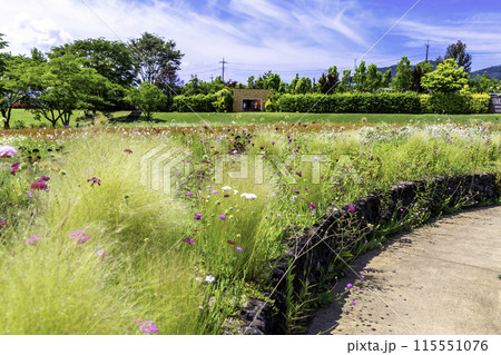 スパイラルガーデンのエンジェルヘアー スパイラルガーデンのエンジェルヘアー 115551076
