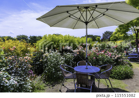 薔薇の囲まれたカフェ 115551082