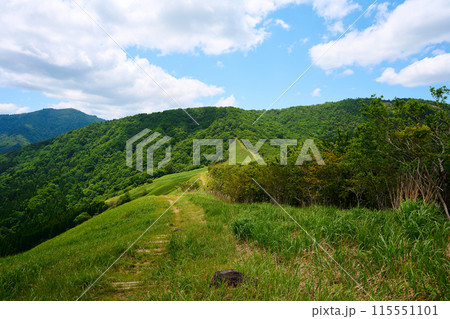 鉢伏山の登山道 115551101