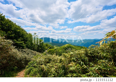 鉢伏山の登山道から見える景色 115551112