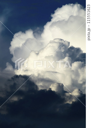 青空に現れた入道雲が大きく不気味に発達してきている 青空に現れた入道雲が大きく不気味に発達してきている 115551623
